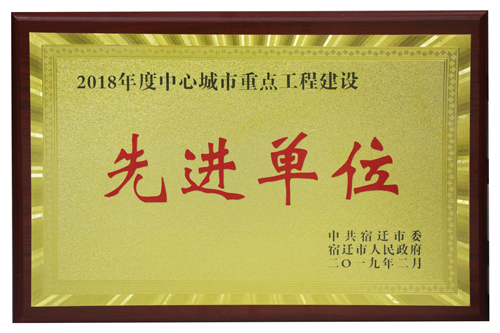 2018年度中心都会重点工程建设先进单位